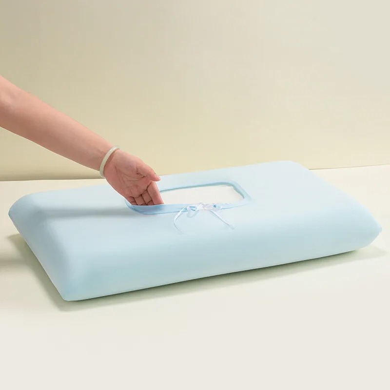 1 Ensemble de taies d'oreiller - Silk Pillowcase Set avis et prix