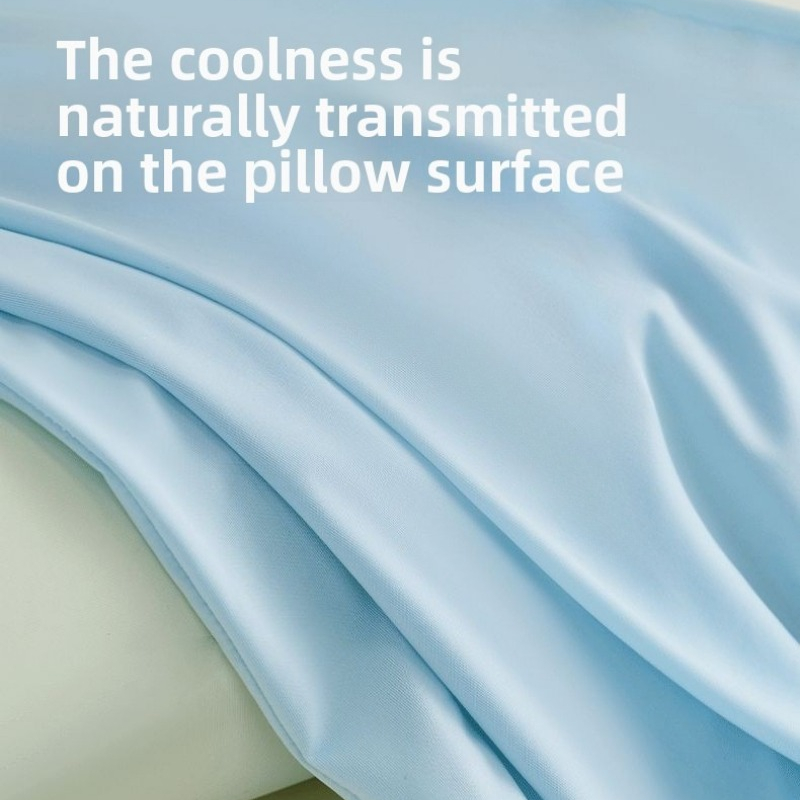Housse de coussin universelle  - Silk Pillowcase Set avis et prix