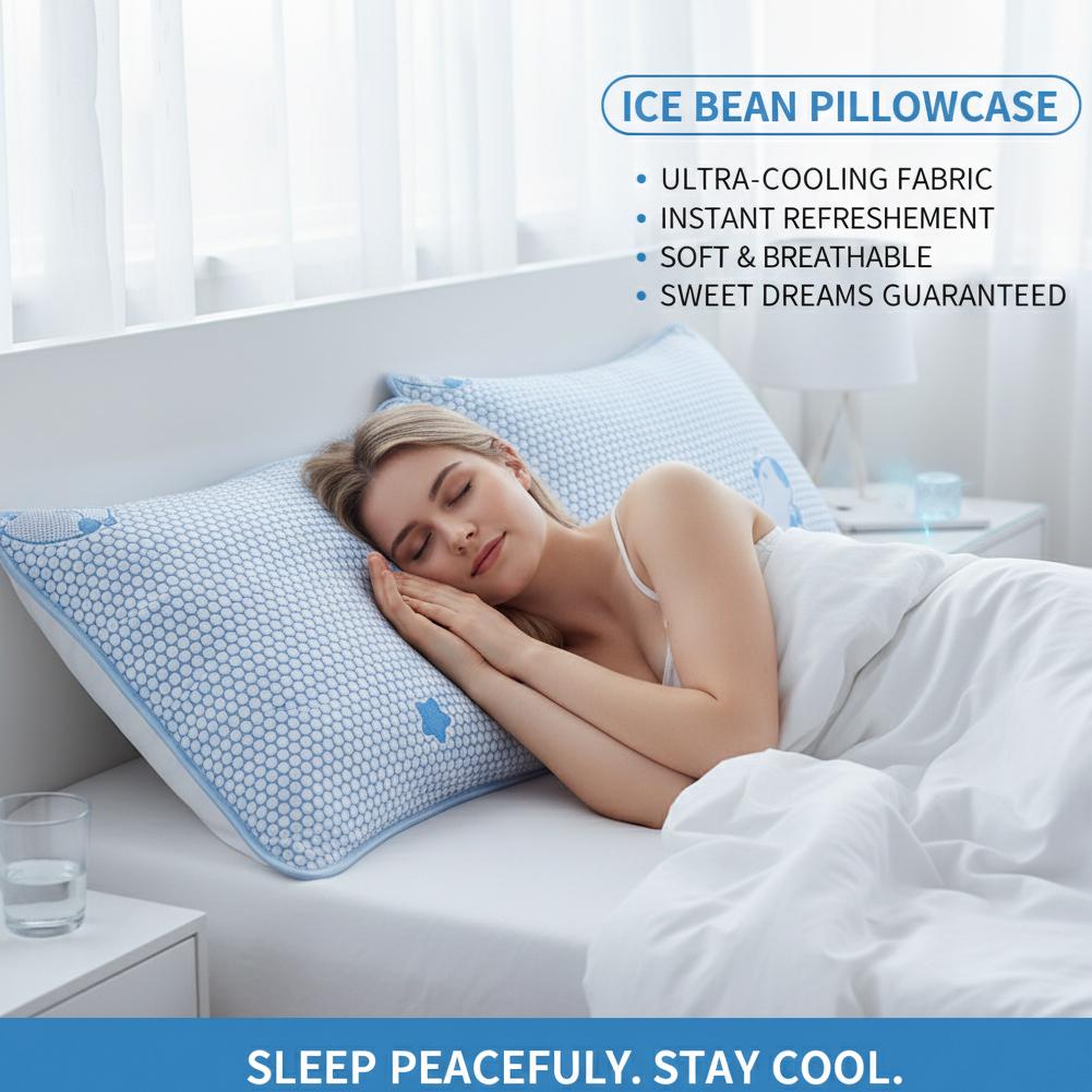 Housse de coussin en soie glac - Silk Pillowcase Set avis et prix