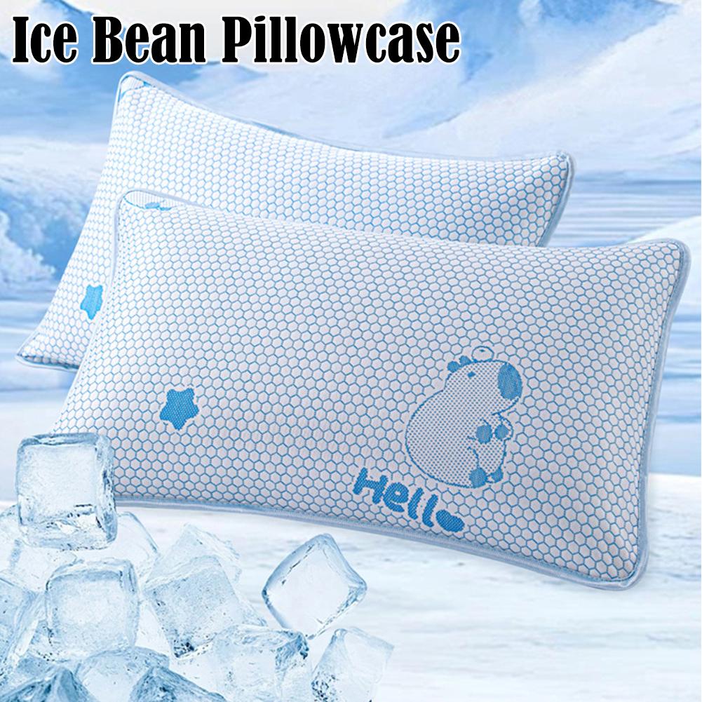Housse de coussin en soie glac - Silk Pillowcase Set avis et prix